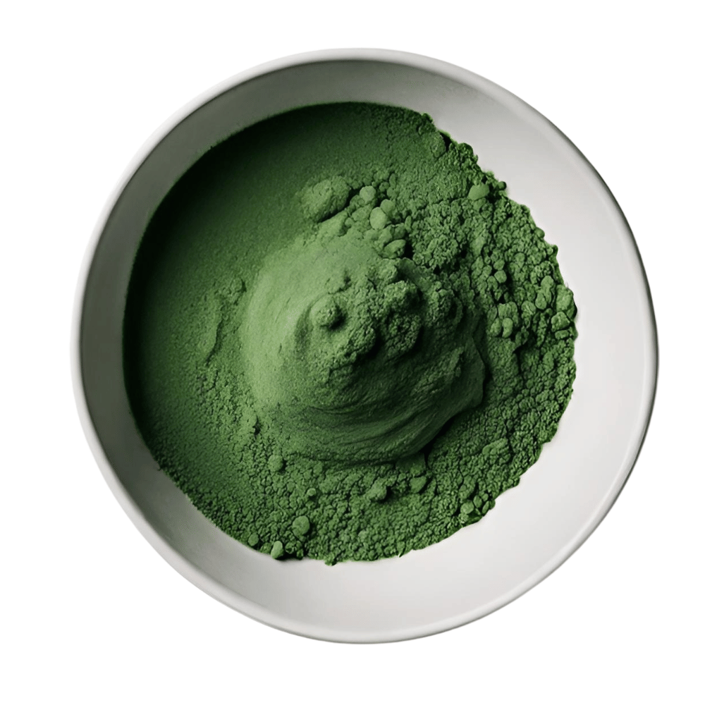 Chlorella Pulver grün
