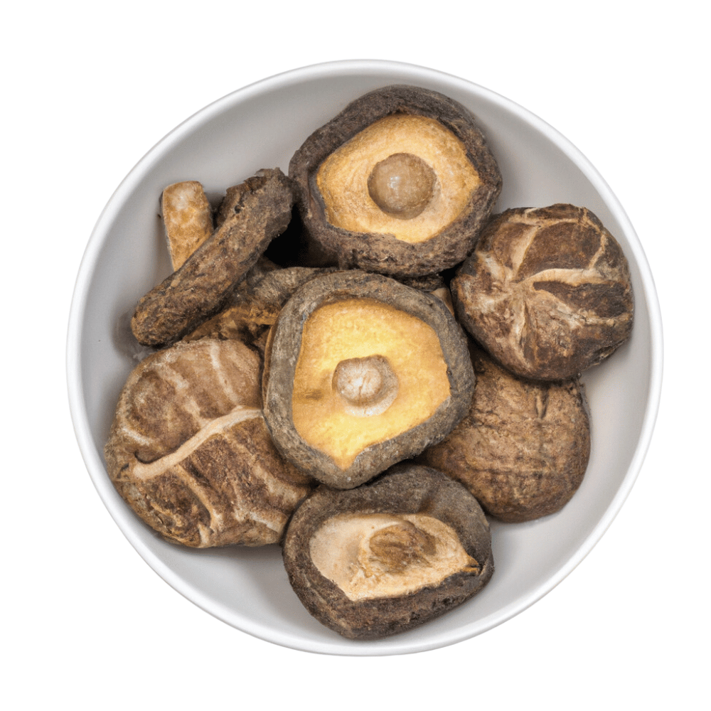 Shiitake Pilze getrocknet