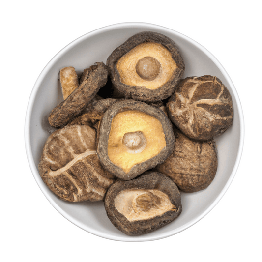 Shiitake Pilze getrocknet